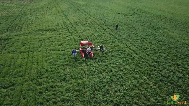 Baltic seed - Potatoes 2018 careful treatment, Kaliningrad смотреть онлайн