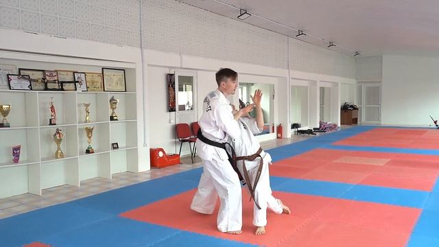 очередная онлайн тренеровка от Сенсея Пшенбаева Саята черный пояс 2 дан смотреть онлайн