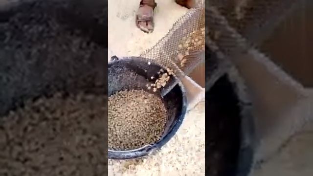 Пеллетайзер/гранулятор смотреть онлайн