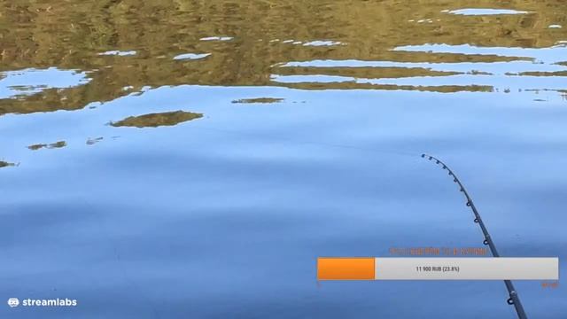 Рыбалка 2020 онлайн. Ловля летом в Жару. Фидерная рыбалка Стрим смотреть онлайн