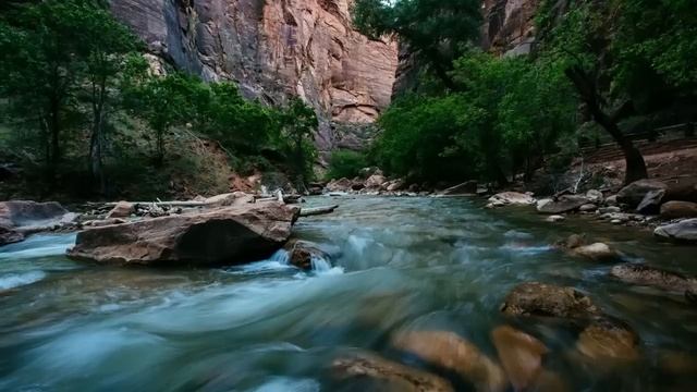 МНЕ НЕ НУЖЕН ЭТОТ РЕБЁНОК! - ЛИДА БРЕЗГЛИВО ОТДАЛА МАЛЕНЬКИЙ СВЁРТОК СЕСТРЕ. ОНА ЕЩЁ НЕ ЗНАЛА... смотреть онлайн