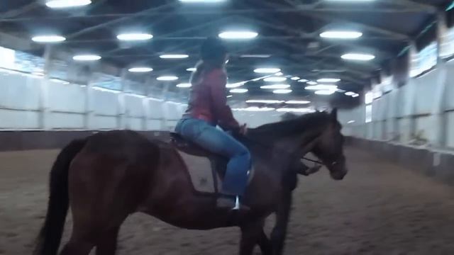 Верхом на коне смотреть онлайн