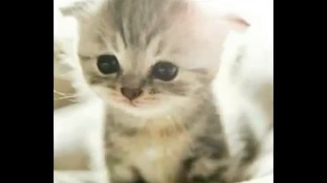 Доброго утречка смотреть онлайн