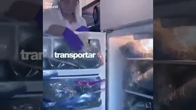 Где можно курить гычу смотреть онлайн