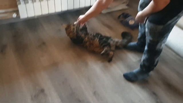 Как согреться в стылый день. смотреть онлайн