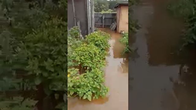 На Остров Старица в Белогорске пришла большая вода. Видео читателей АП смотреть онлайн