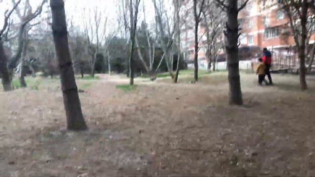 Моника и Леон , гуляют по лесу ! смотреть онлайн
