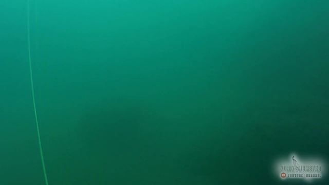 В ПОИСКАХ РЫБЫ ! ОХОТА ПОД ВОДОЙ ! 2020 spearfishing смотреть онлайн