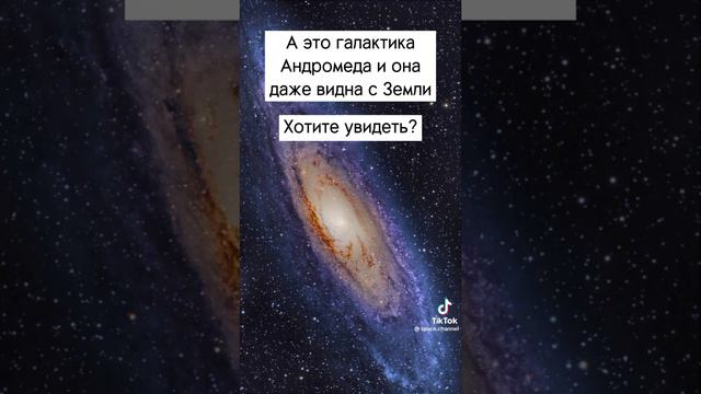 Андромеда видна даже у нас! смотреть онлайн