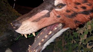 МЕГИСТОТЕРИЙ И ЭНДРЮСАРХ