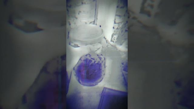 Сон. смотреть онлайн