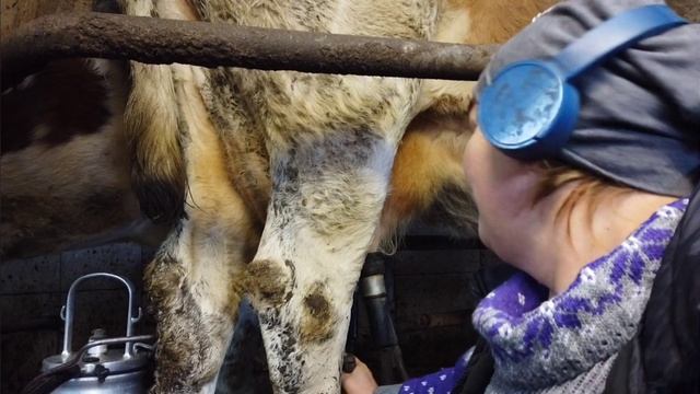 Утро Доим в коров Ох как я зол подумал мой муж смотреть онлайн