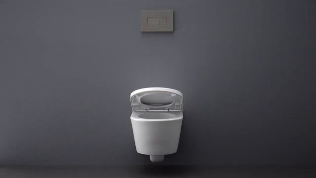 Установка крышки-сиденья для унитаза Sanindusa с системой быстрого монтажаClipOff® смотреть онлайн