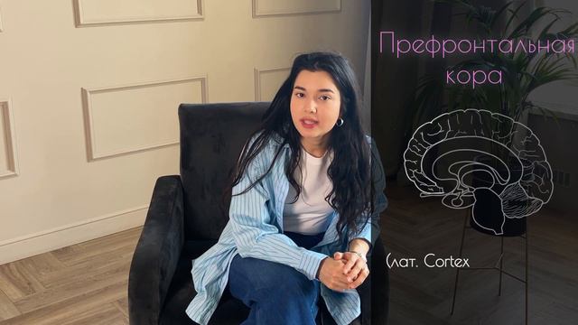 Как музыка влияет на нас? смотреть онлайн