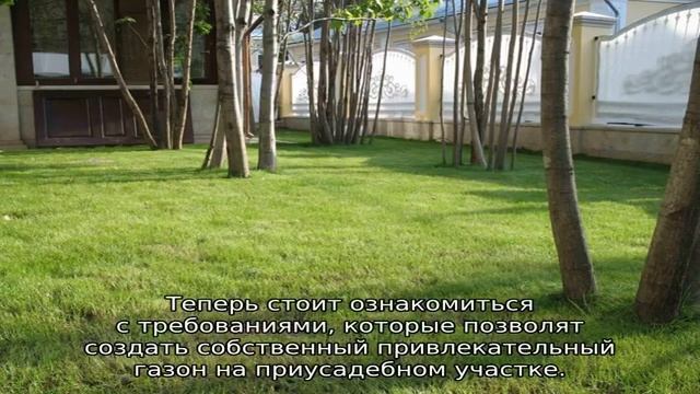 Газонная трава: какая лучше для посева на даче смотреть онлайн