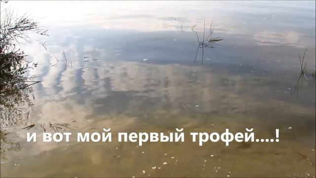 Ловля Судака.Омск./ Fishing For Pikeperch On Live Bait.Fishing In Siberia. Russia. The Irtysh River
