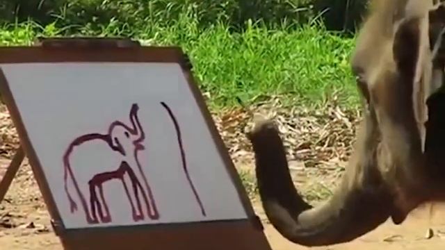 Невероятно! Слон рисует автопортрет хоботом смотреть онлайн