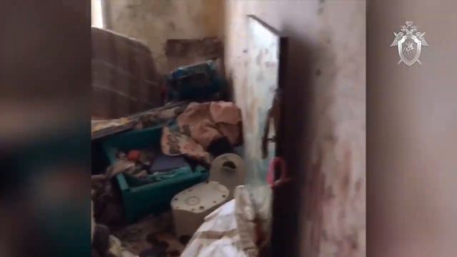Осмотр квартиры, где нашли девочку-маугли смотреть онлайн