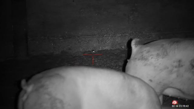 farmyard ratting смотреть онлайн