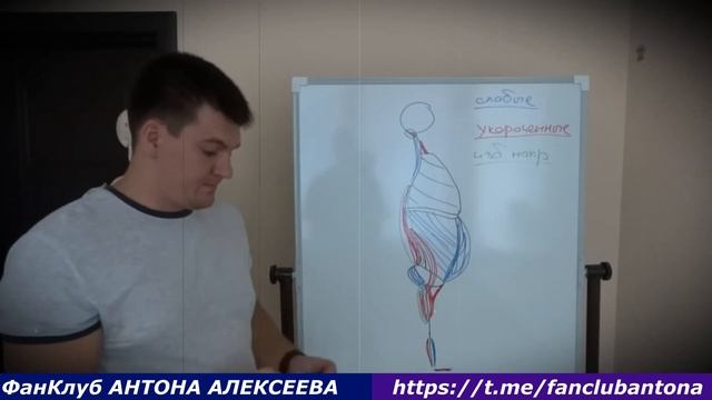 Вторая серия Биомеханика движений и связь мышц смотреть онлайн