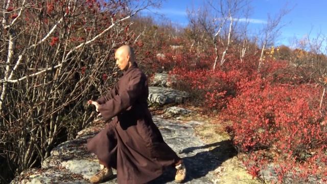 Qigong Horse Stance Open Arms/5 Minute Qigong