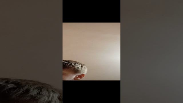 сёма и лёня смотреть онлайн