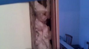 Дверные откосы из МДФ панелей.