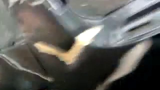 Домашний стол для всех 