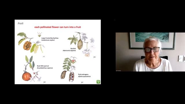 Webinar Tree identification: flowers and fruit (session 3) смотреть онлайн