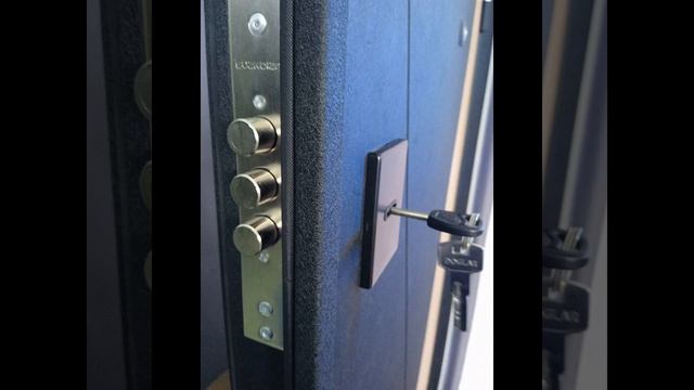 Входная дверь Орфей 317 Лофт чёрный/ Вяз Барон тёмный с зеркалом смотреть онлайн