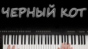 ЧЕРНЫЙ КОТ КАВЕР НА СИНТЕЗАТОРЕ