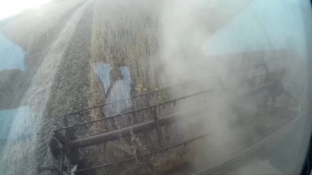 Уборка сои Комбайном НИВА СК-5. смотреть онлайн