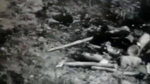 Охрана растений и животных