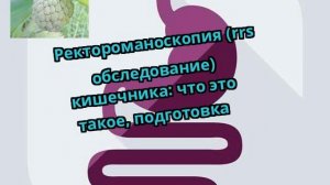 Ректороманоскопия (rrs обследование) кишечника: что это такое, подготовка