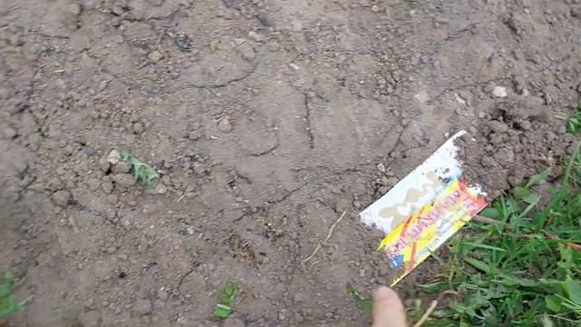 Куда пропали? Что обнаружила на грядке? Привожу в порядок старую дачу. смотреть онлайн