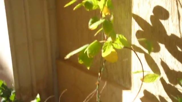 Samsung ES73 Video Test 1 смотреть онлайн