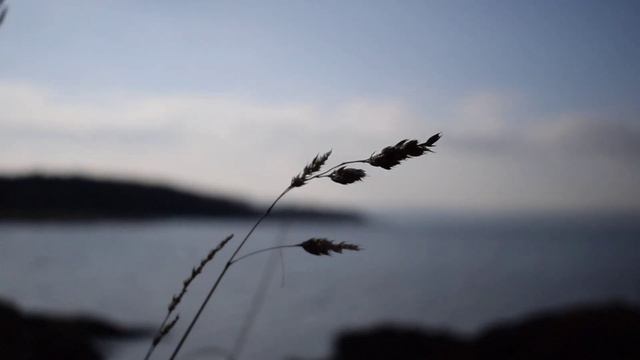 лекарство для души прекрасный каран (karan Karim Relax)
