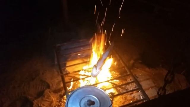 Готовим окуня на костре. смотреть онлайн