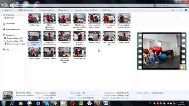 Вебинар - "Отучаем собаку подбирать". 5 часть смотреть онлайн