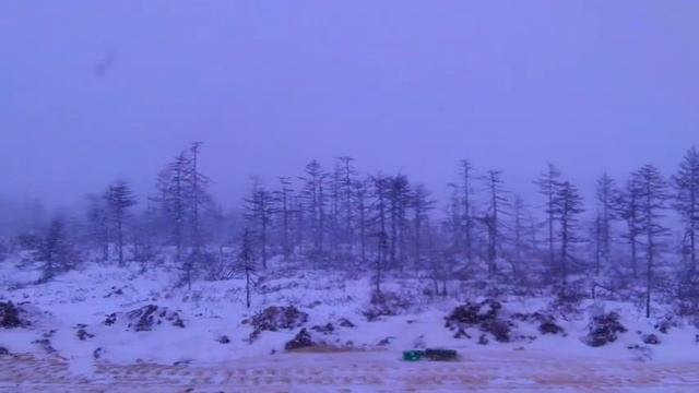 О, Ноглики! смотреть онлайн