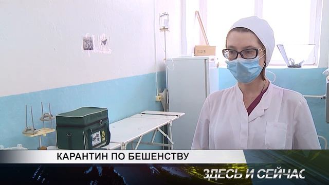 карантин по бешенству смотреть онлайн