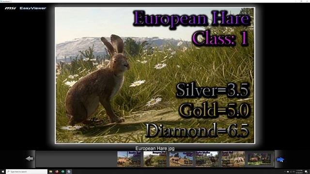 Cuatro Colinas Quick Guide - The Hunter Call of the Wild смотреть онлайн