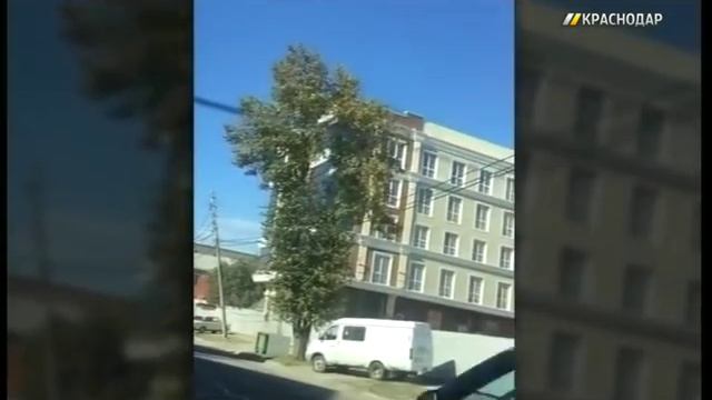 В Краснодаре ветер сорвал крыши, повалил деревья и опору ЛЭП смотреть онлайн