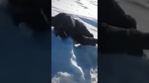 Поймал зайца руками