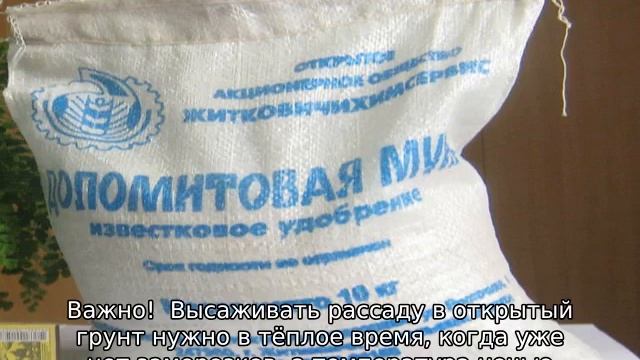 Какую почву любят помидоры смотреть онлайн