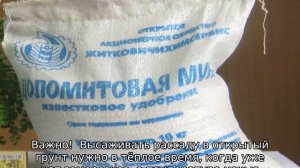 Какую почву любят помидоры