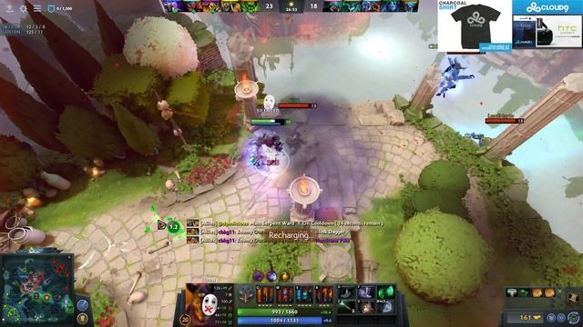 WHAT TO DO AFTER WATCHING THIS VIDEO ◄ SingSing Dota 2 Stream Moments смотреть онлайн