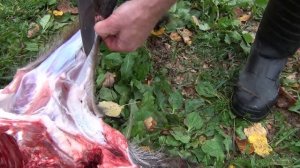 Разделочный нож из дамасской стали при разделки туши кабанчика