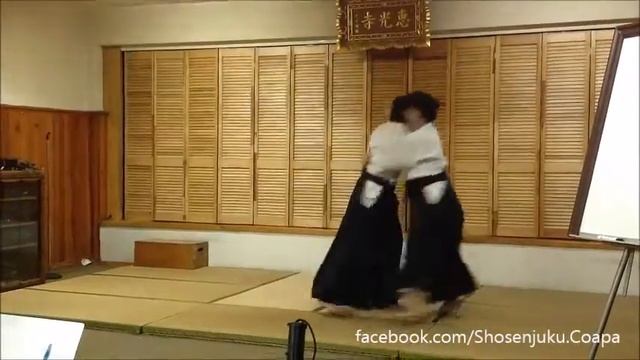 Sensei Izumi Tauchi смотреть онлайн