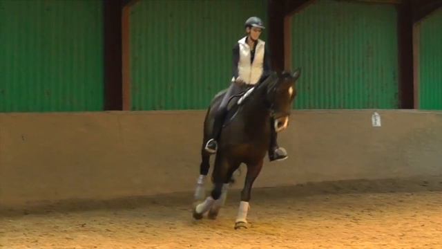Dressage Training: Catherine Workman & Frenchie with Hayley Watson-Greaves 28/10/13 смотреть онлайн